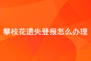 攀枝花遺失登報(bào)怎么辦理找我要登報(bào)網(wǎng)