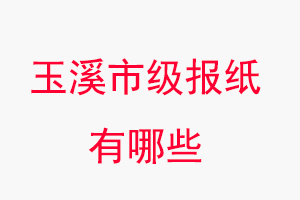 玉溪報紙有哪些，玉溪市級報紙有哪些找我要登報網