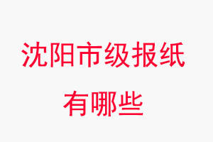沈陽報紙有哪些,沈陽市級報紙有哪些找我要登報網